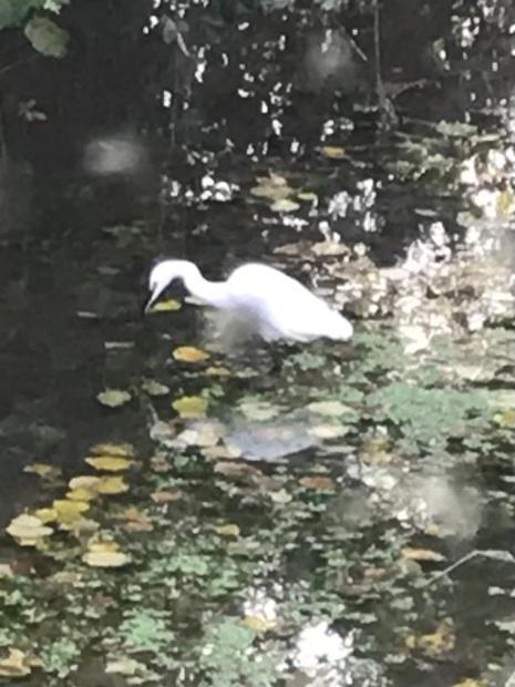 Reveil Aux Chants Des Oiseaux Asse-le-Riboul Exterior photo