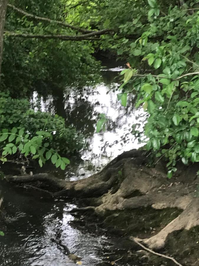 Reveil Aux Chants Des Oiseaux Asse-le-Riboul Exterior photo